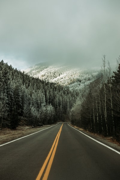 白天，树木和雪山之间的灰色水泥路